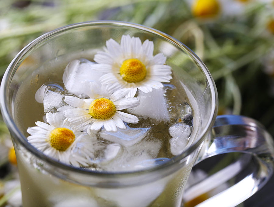 Jarra de agua fría con flores de manzanilla para darle un poco de sabor.