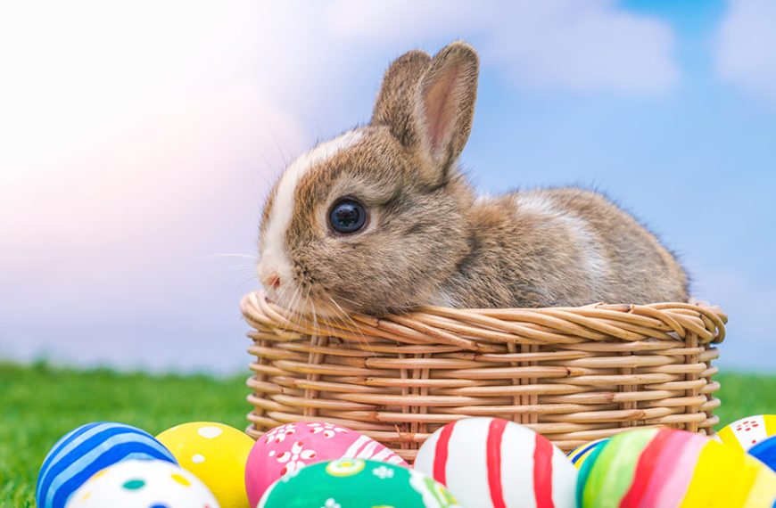 Conejo pequeño dentro de un canasto rodeado de huevos de pascua pintados.